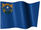 Nevada Taxi Service - Nevada Airport Taxi
